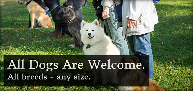 jquery slider